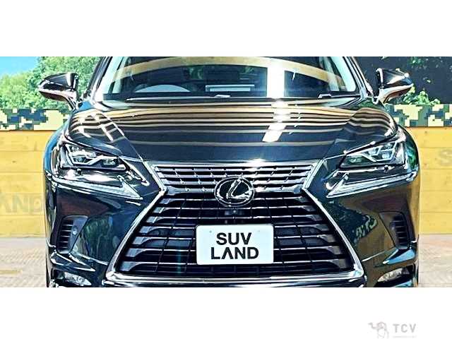 2018 Lexus NX