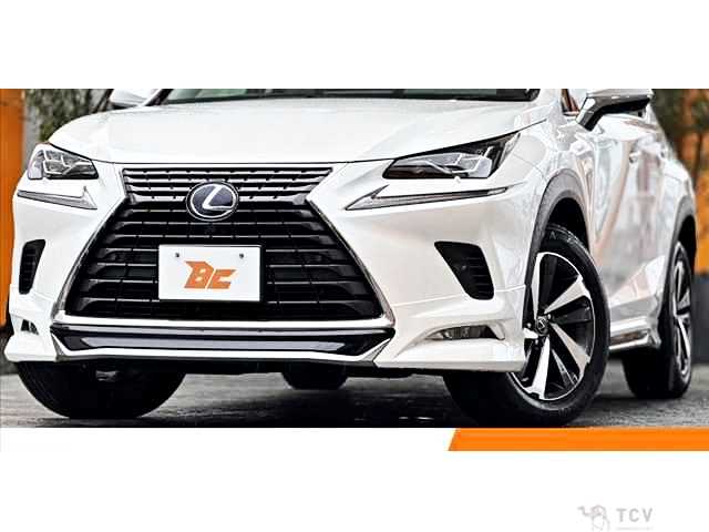 2018 Lexus NX