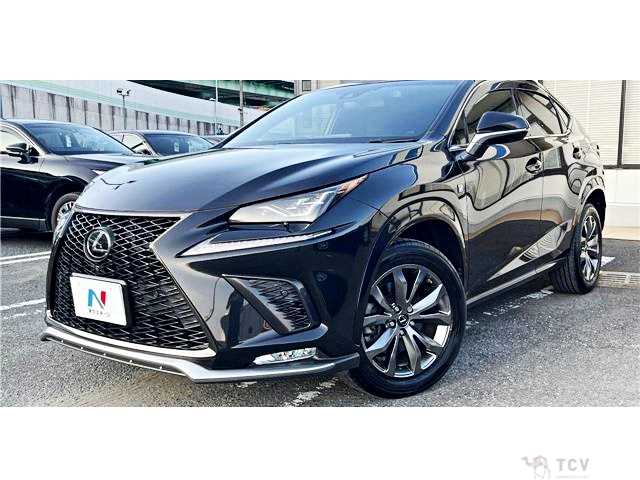 2018 Lexus NX