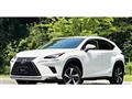 2018 Lexus NX