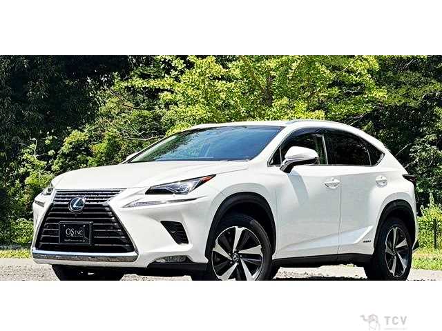 2018 Lexus NX