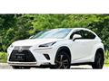 2018 Lexus NX