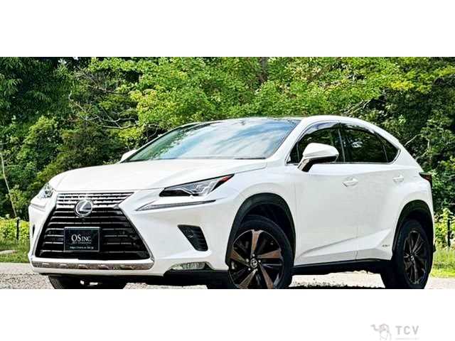 2018 Lexus NX