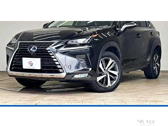 2018 Lexus NX