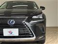 2018 Lexus NX