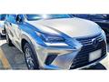 2018 Lexus NX