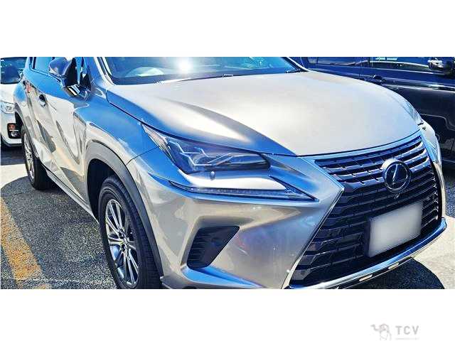 2018 Lexus NX