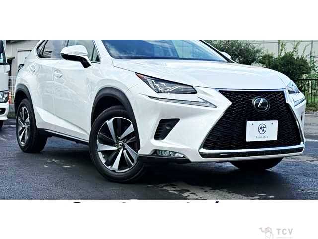 2018 Lexus NX
