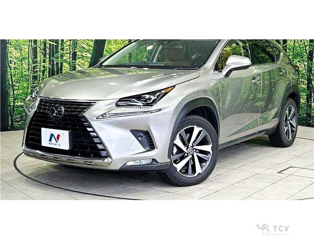 2018 Lexus NX