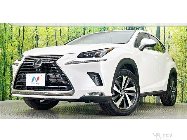 2018 Lexus NX