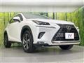 2018 Lexus NX