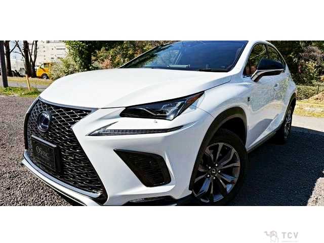 2018 Lexus NX