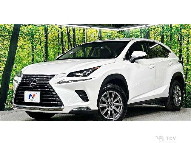 2018 Lexus NX