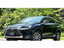 2018 Lexus NX
