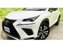 2018 Lexus NX