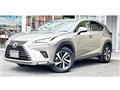 2018 Lexus NX