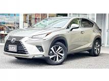 2018 Lexus NX