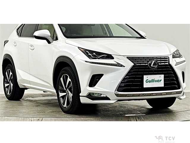 2018 Lexus NX