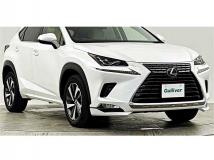 2018 Lexus NX