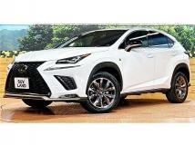 2018 Lexus NX
