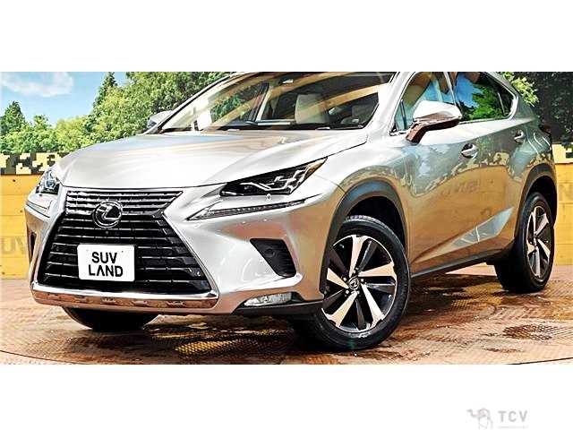 2018 Lexus NX