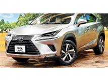 2018 Lexus NX