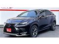 2018 Lexus NX
