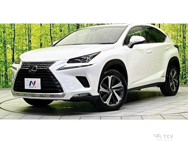 2018 Lexus NX