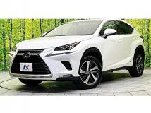 2018 Lexus NX