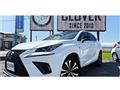 2018 Lexus NX
