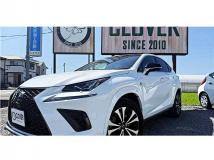 2018 Lexus NX