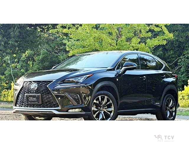 2018 Lexus NX