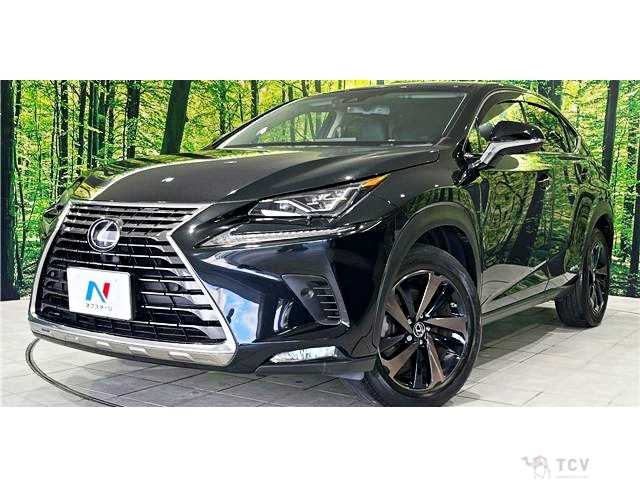2018 Lexus NX