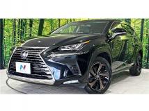 2018 Lexus NX