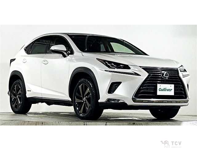 2018 Lexus NX