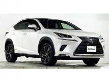 2018 Lexus NX