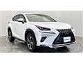 2018 Lexus NX
