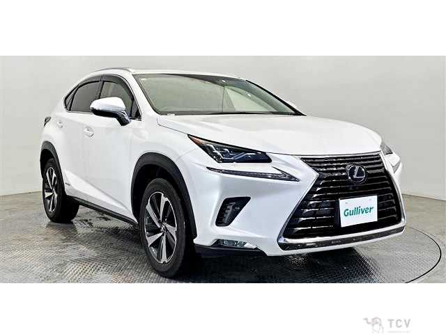 2018 Lexus NX