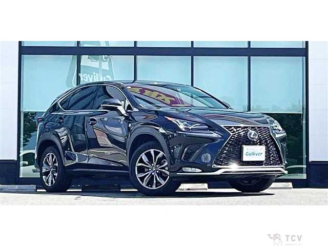 2018 Lexus NX