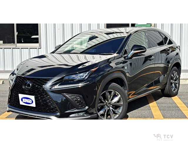 2018 Lexus NX