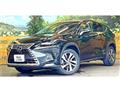 2018 Lexus NX