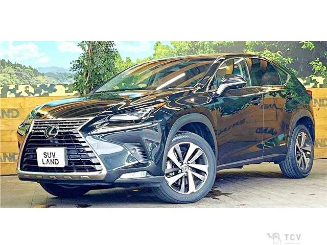 2018 Lexus NX