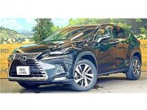 2018 Lexus NX