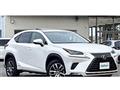 2018 Lexus NX