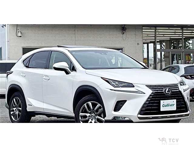2018 Lexus NX