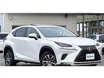 2018 Lexus NX