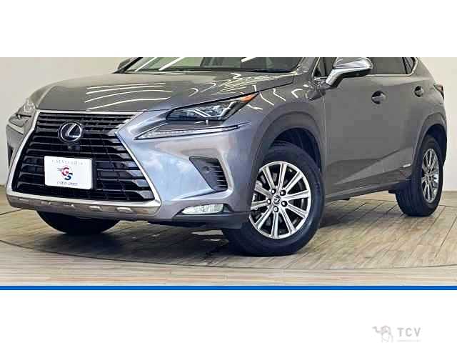 2018 Lexus NX