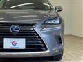2018 Lexus NX
