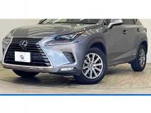 2018 Lexus NX