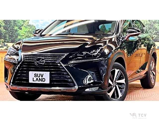 2018 Lexus NX